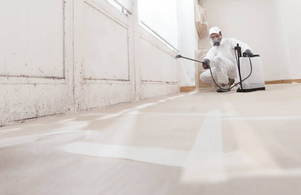 24/7 Emergency Mold Removal experts in Thomasville, GA