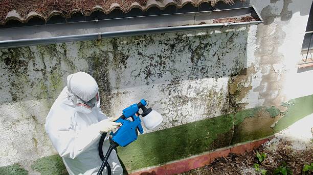 Trusted Mold Removal service in Thomasville, GA - Cheap Mold Removal